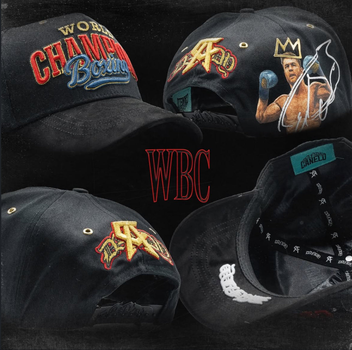 DH X CANELO WBC