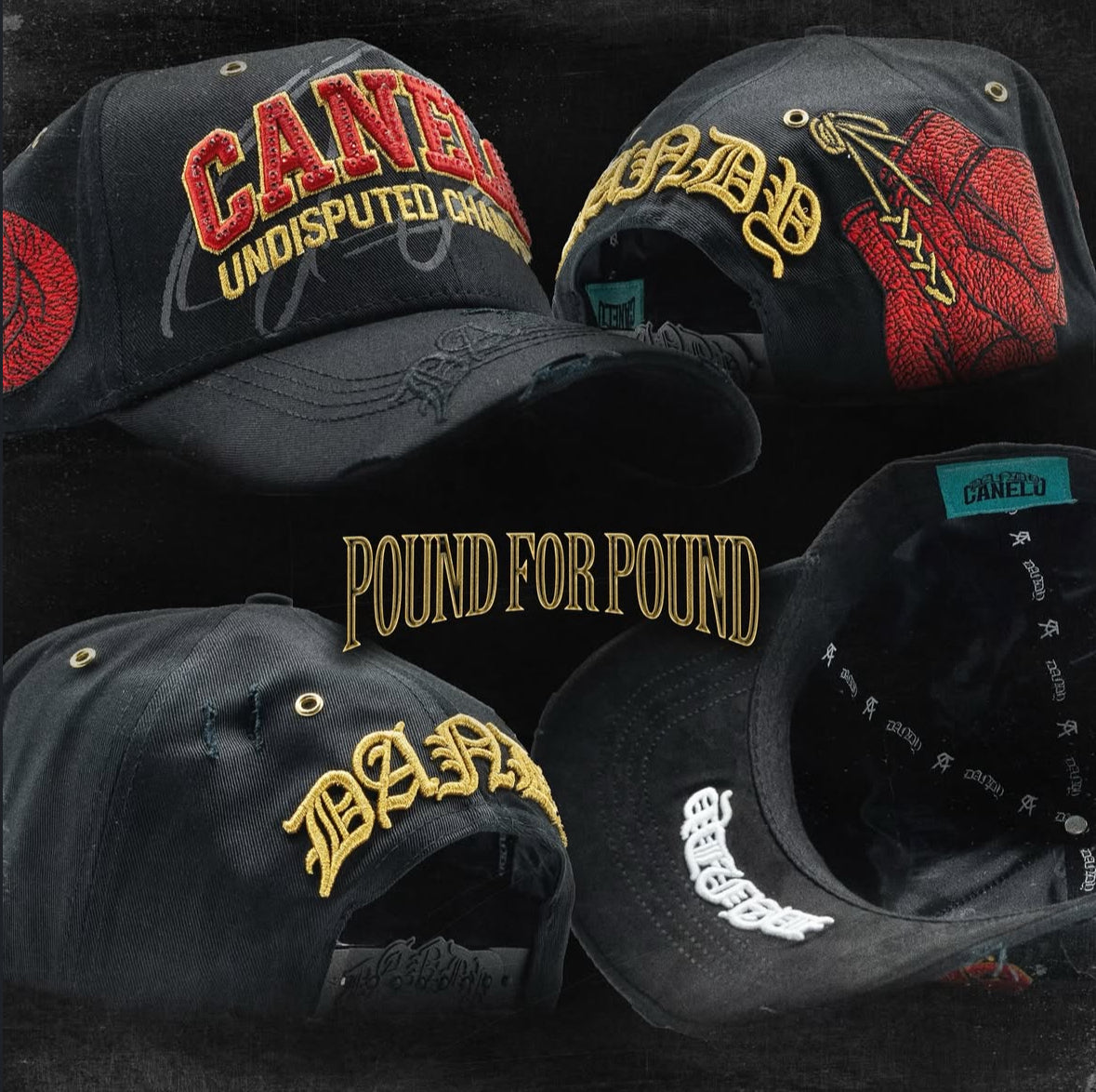 DH X CANELO POUND FOR POUND